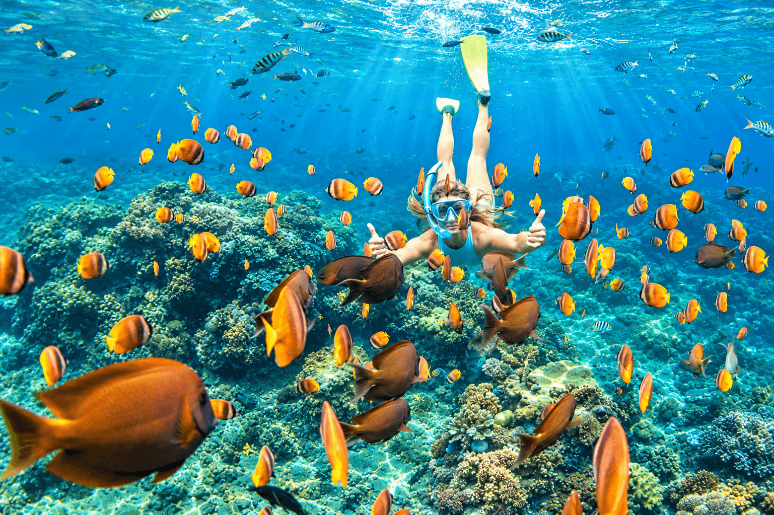 Snorkeling and reef experiences in Hikkaduwa